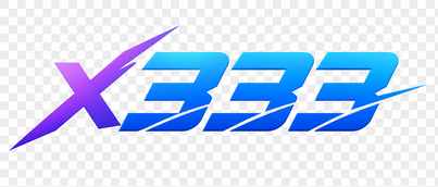 x333